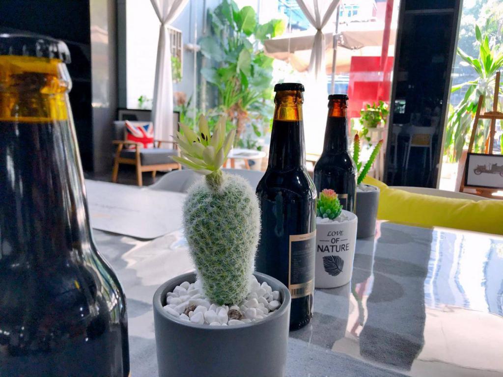 验证企业团建方案模型